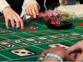 彩777ccapp最新版下载2024最新版